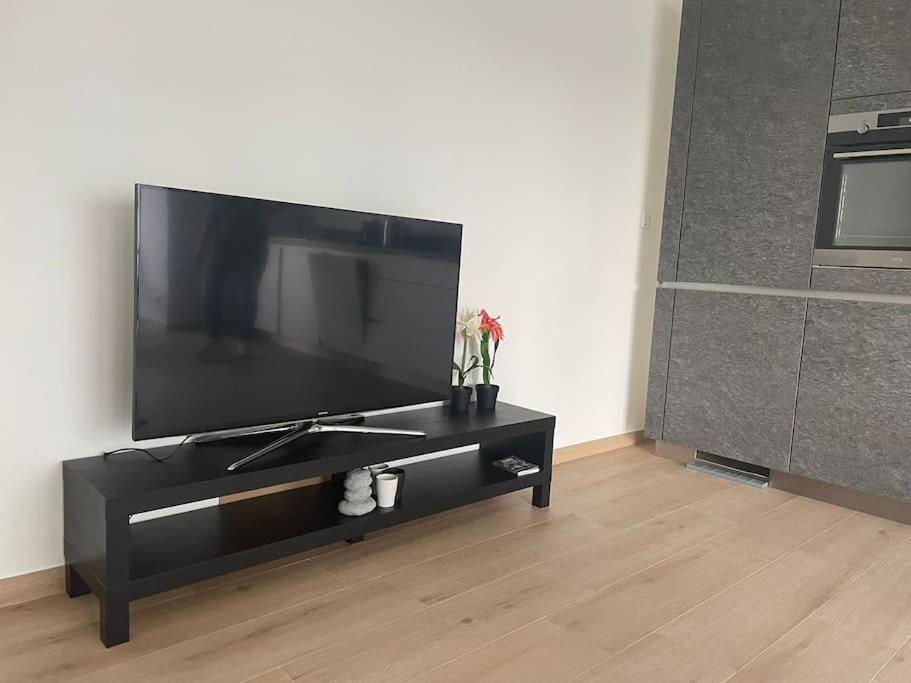 Brand new Listing in City Center with Terrace- 4a — photo 3
