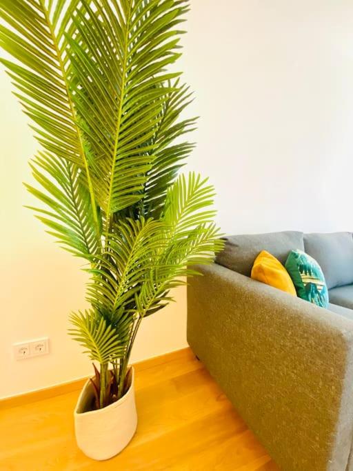 Luxury Brand New Flat with Terrace & Parking – RTL1 — photo 10