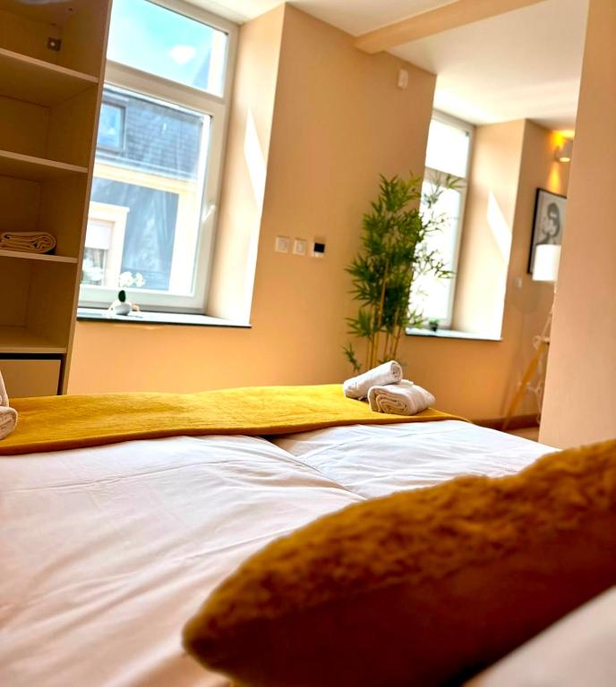 Spacious 1 bedroom with 4 beds in Luxembourg City-BON45B — photo 13